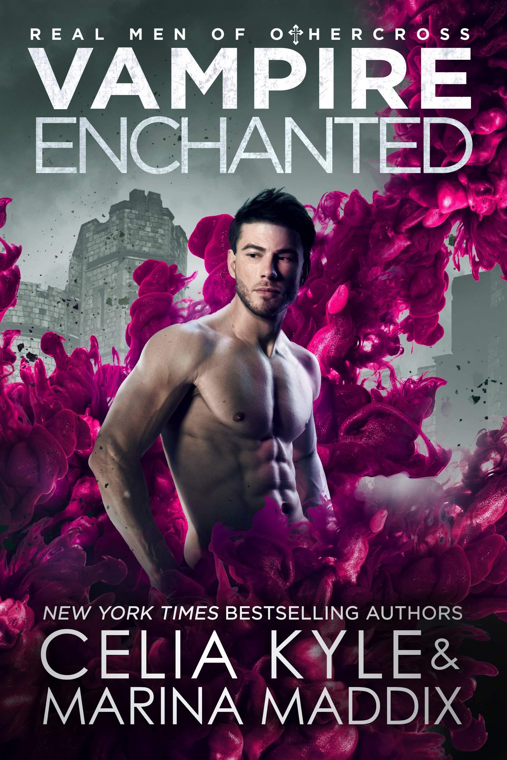 Vampire Enchanted book cover