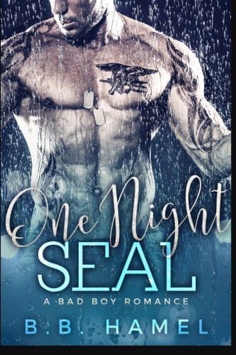 One Night SEAL book cover