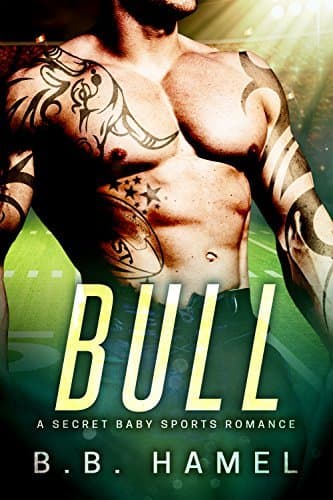 Bull book cover