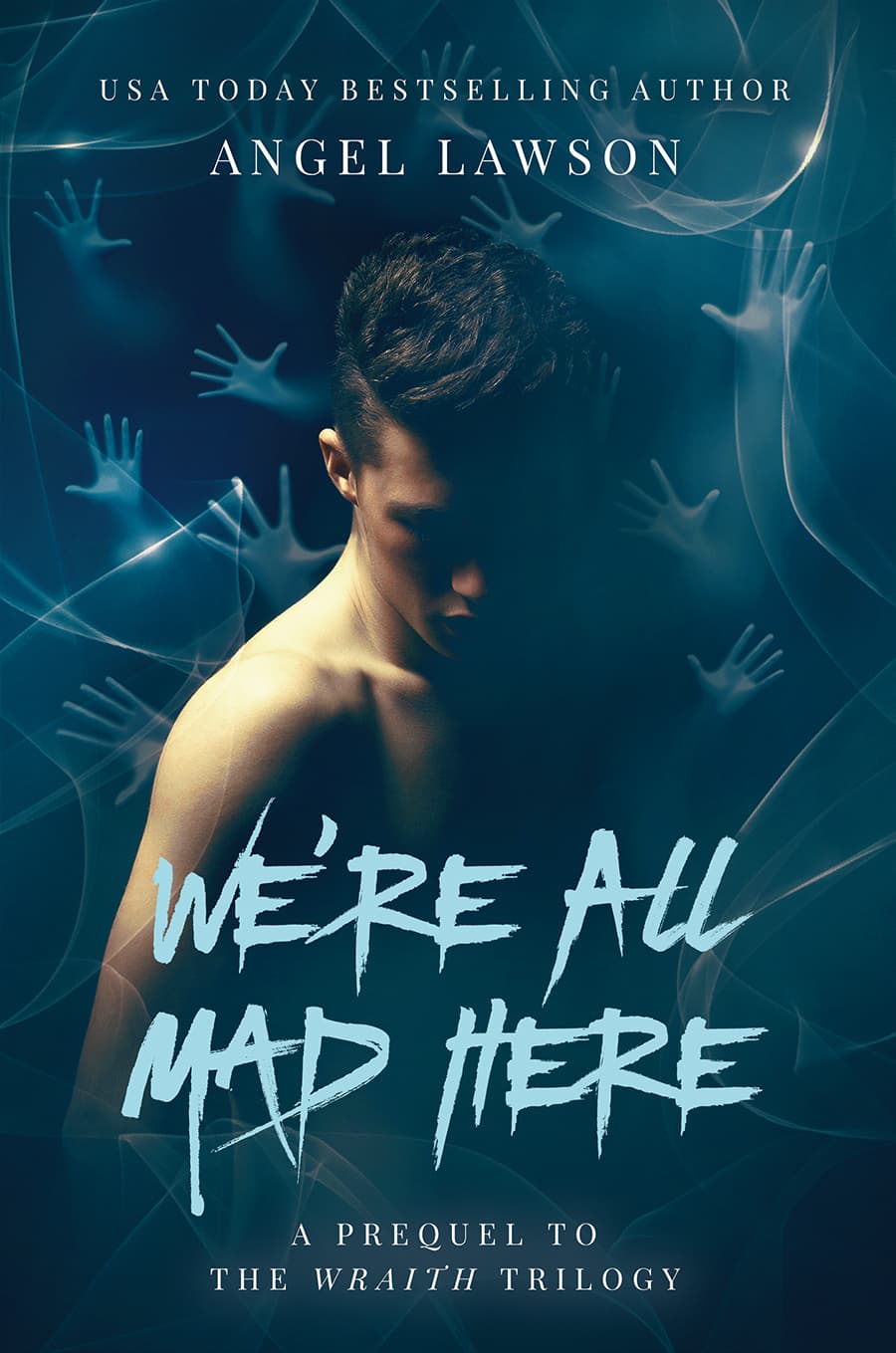 We're All Mad Here book cover