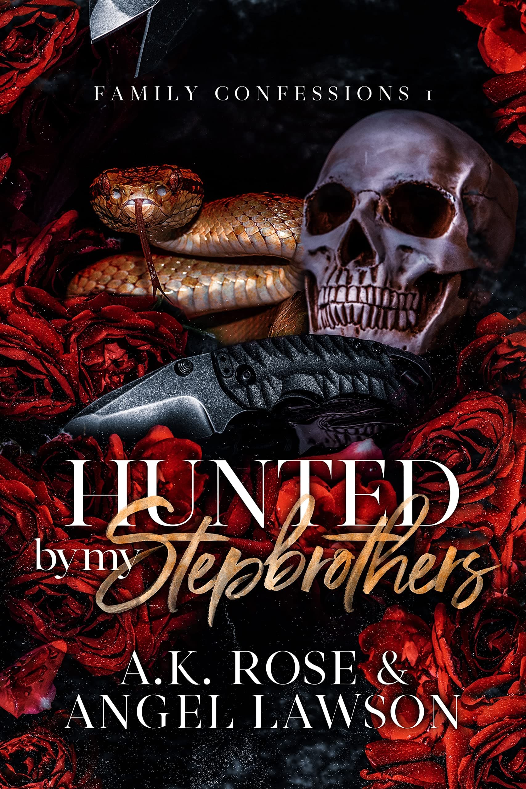 Hunted by My Stepbrothers book cover