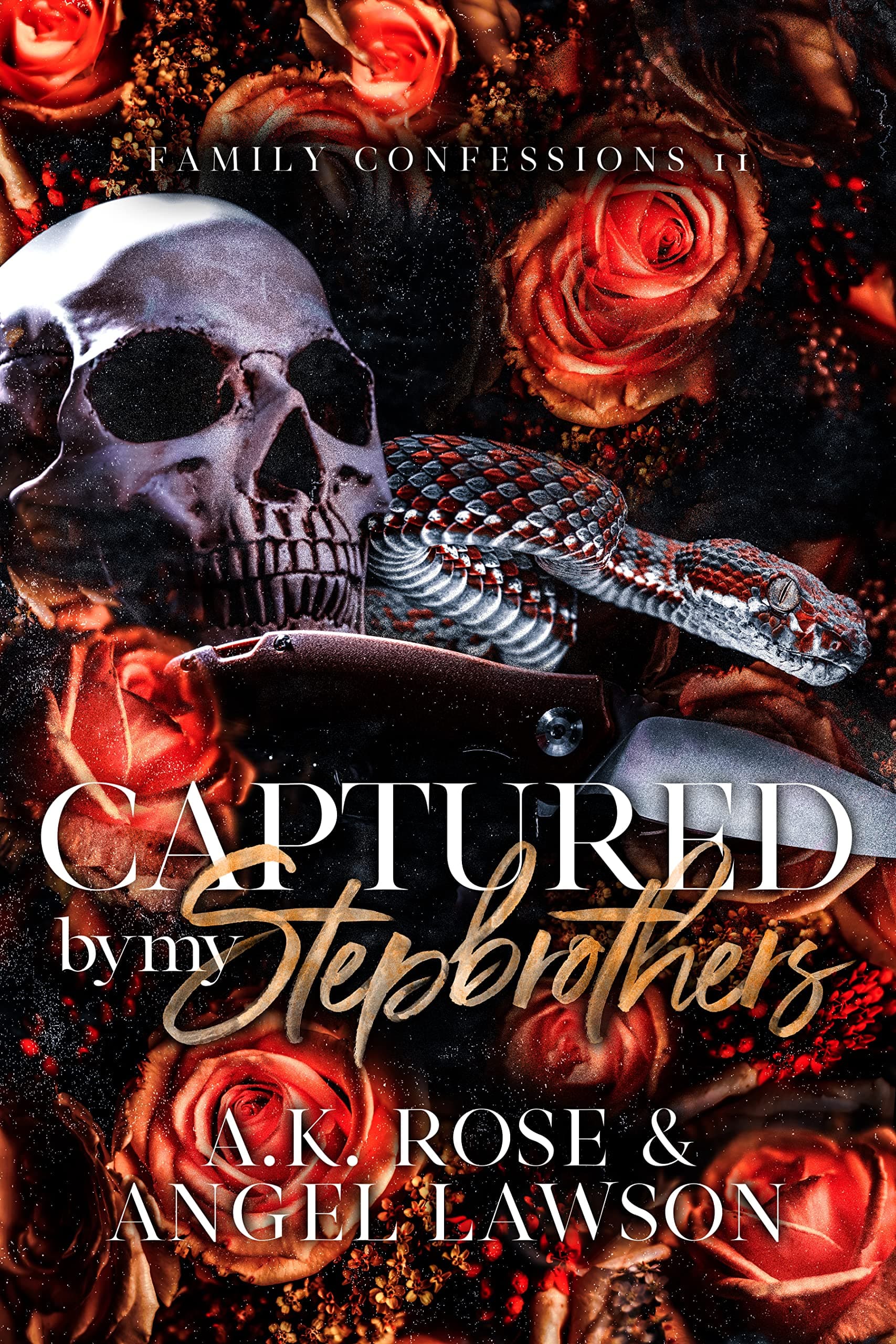 Captured by My Stepbrothers book cover