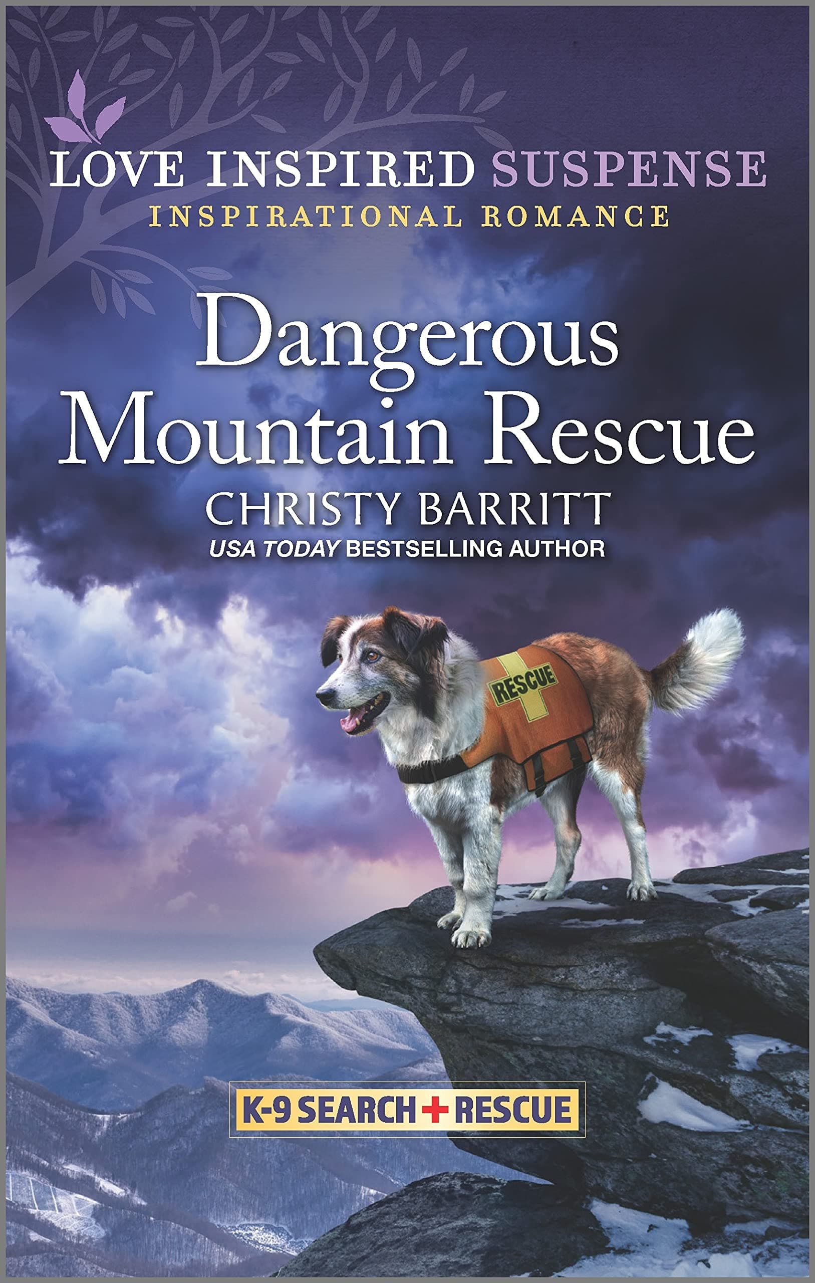 Dangerous Mountain Rescue book cover