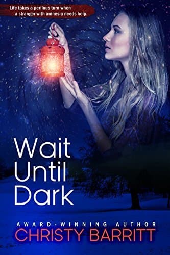 Wait Until Dark book cover