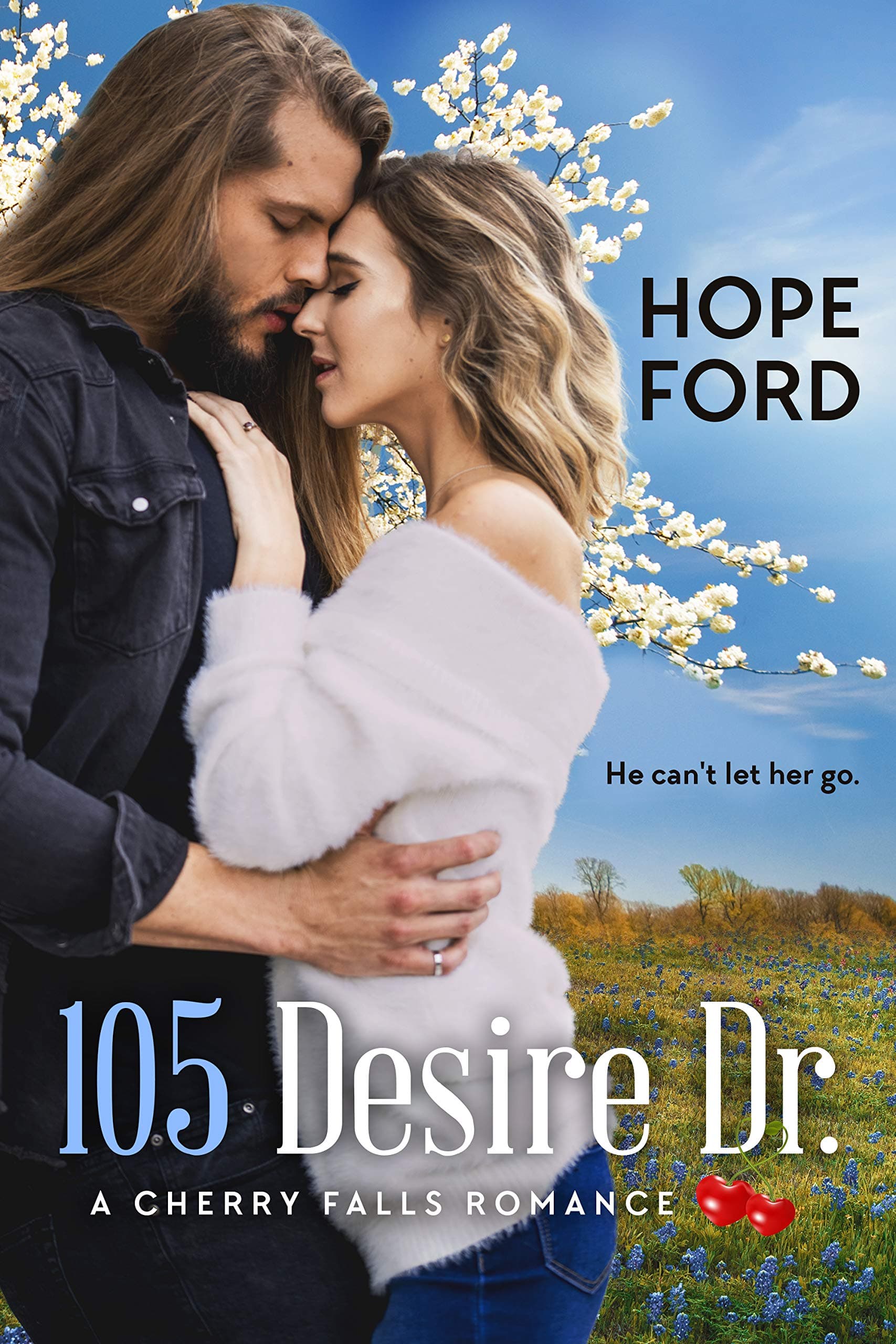 105 Desire Dr. book cover