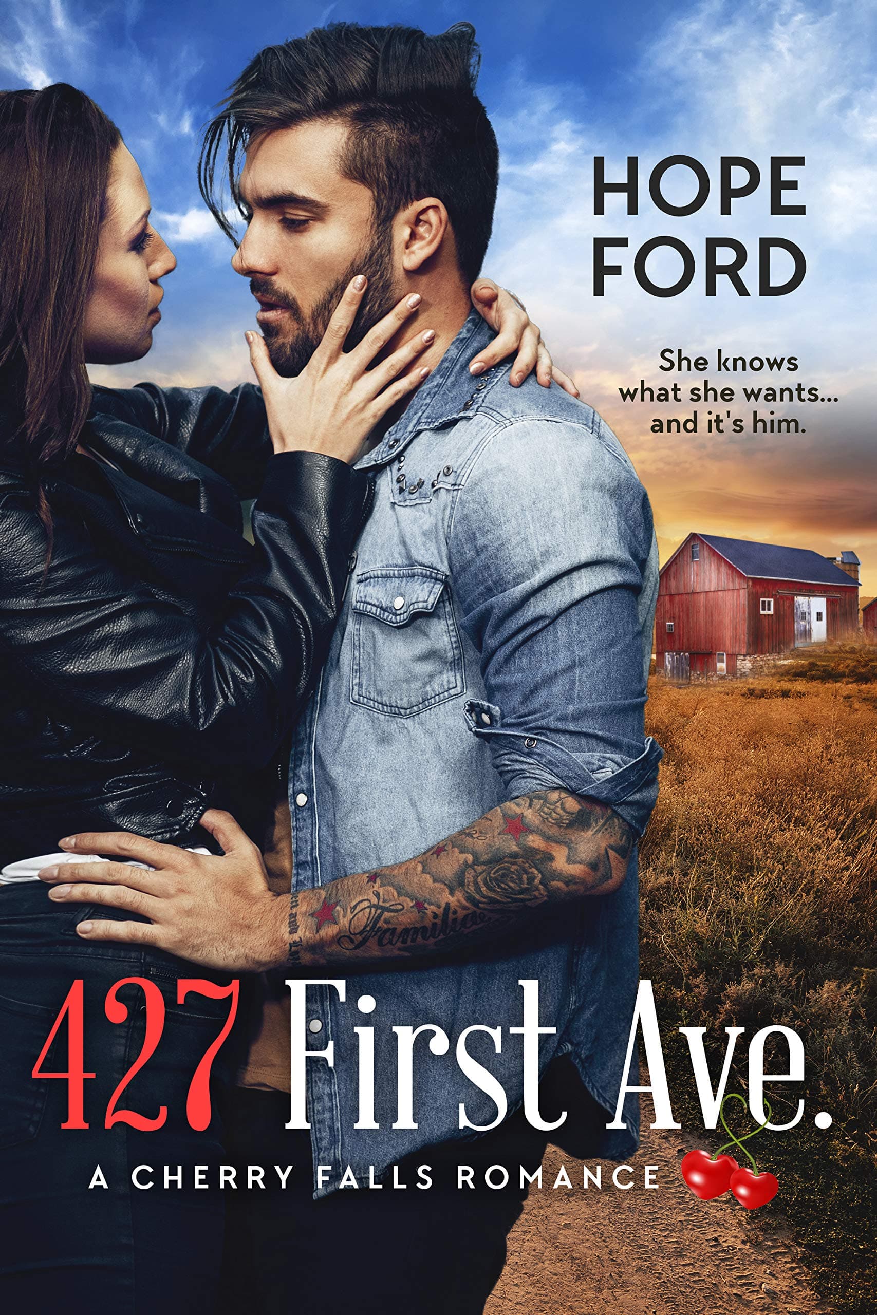 427 First Ave. book cover