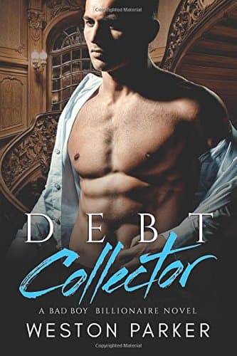 Debt Collector book cover