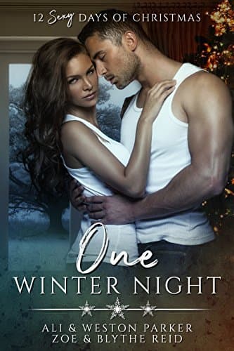One Winter Night book cover