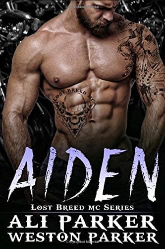 Aiden book cover