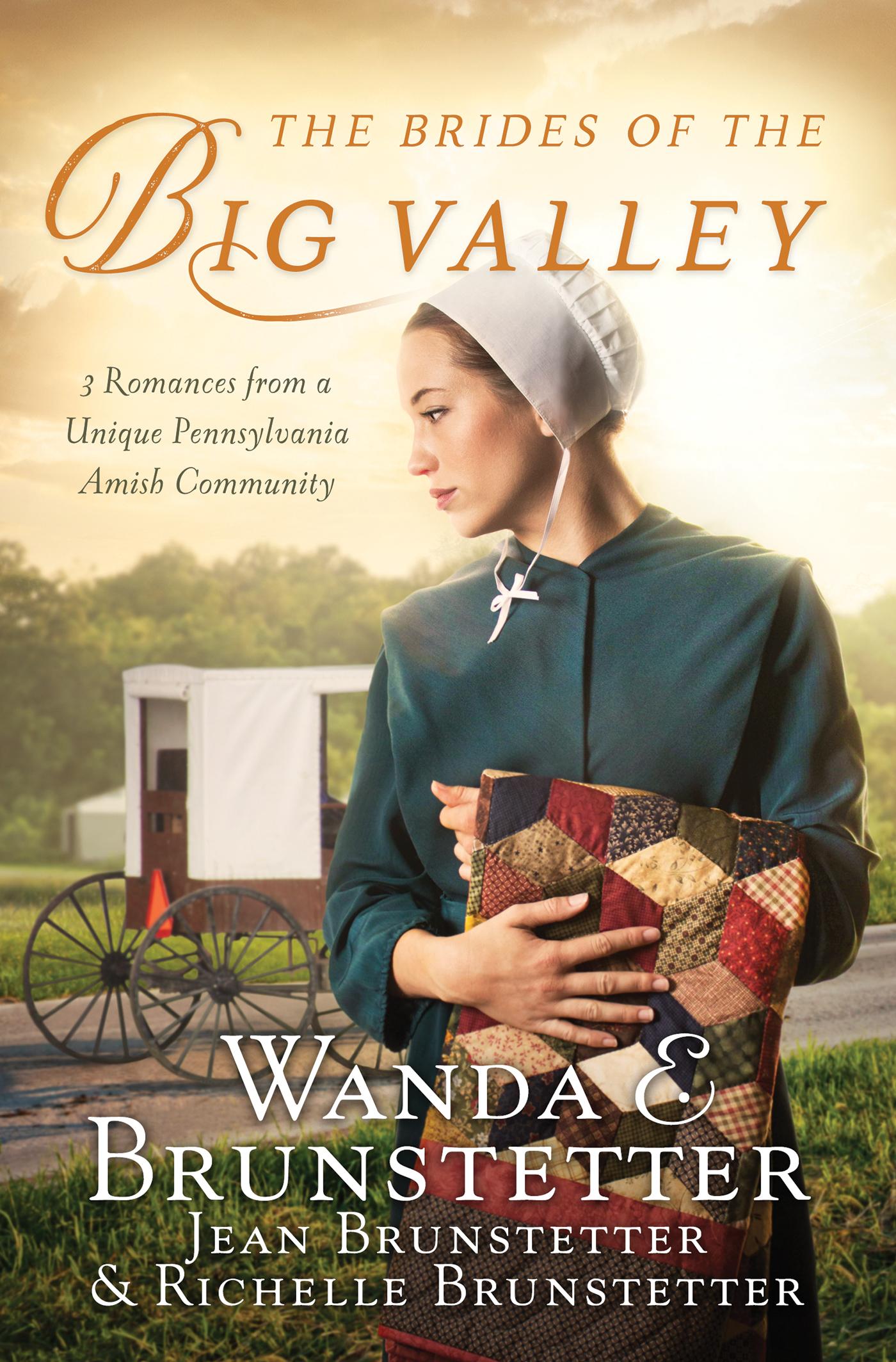 The Brides of the Big Valley book cover