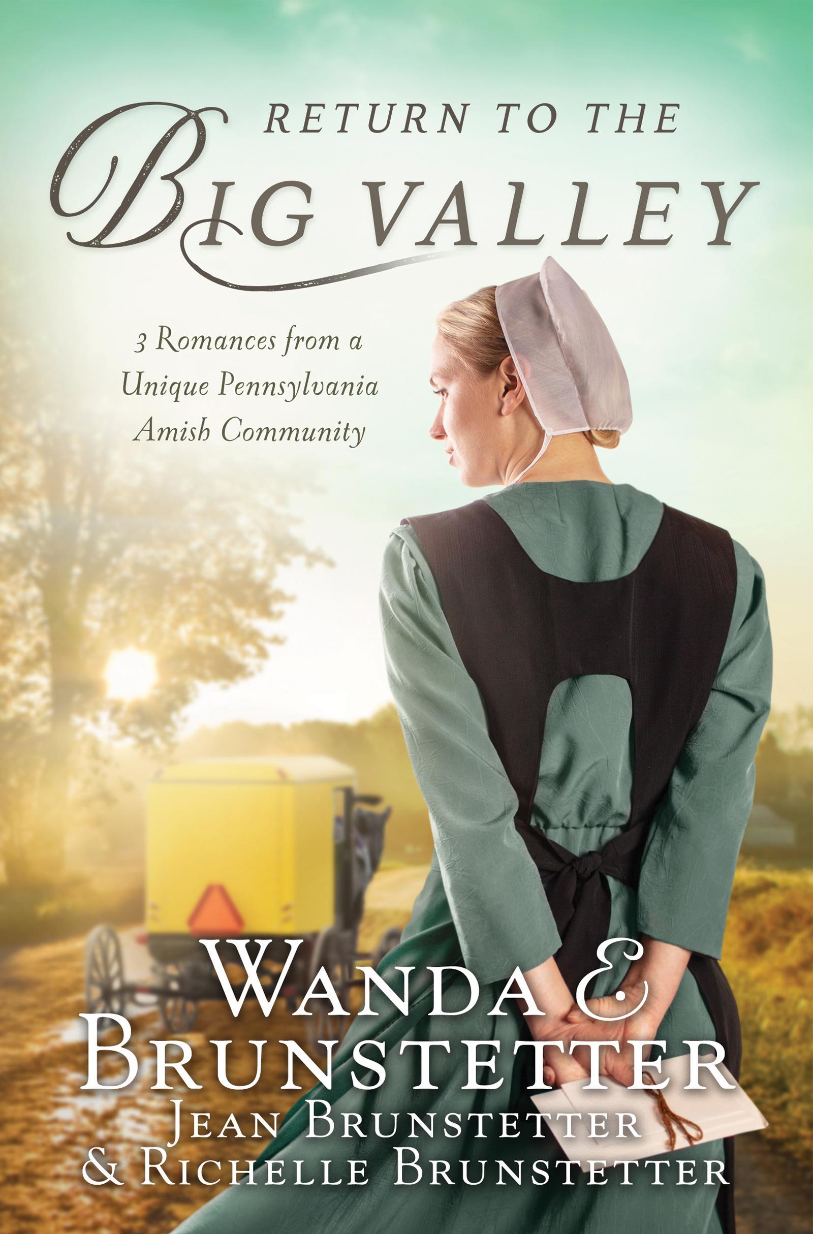 Return to the Big Valley book cover