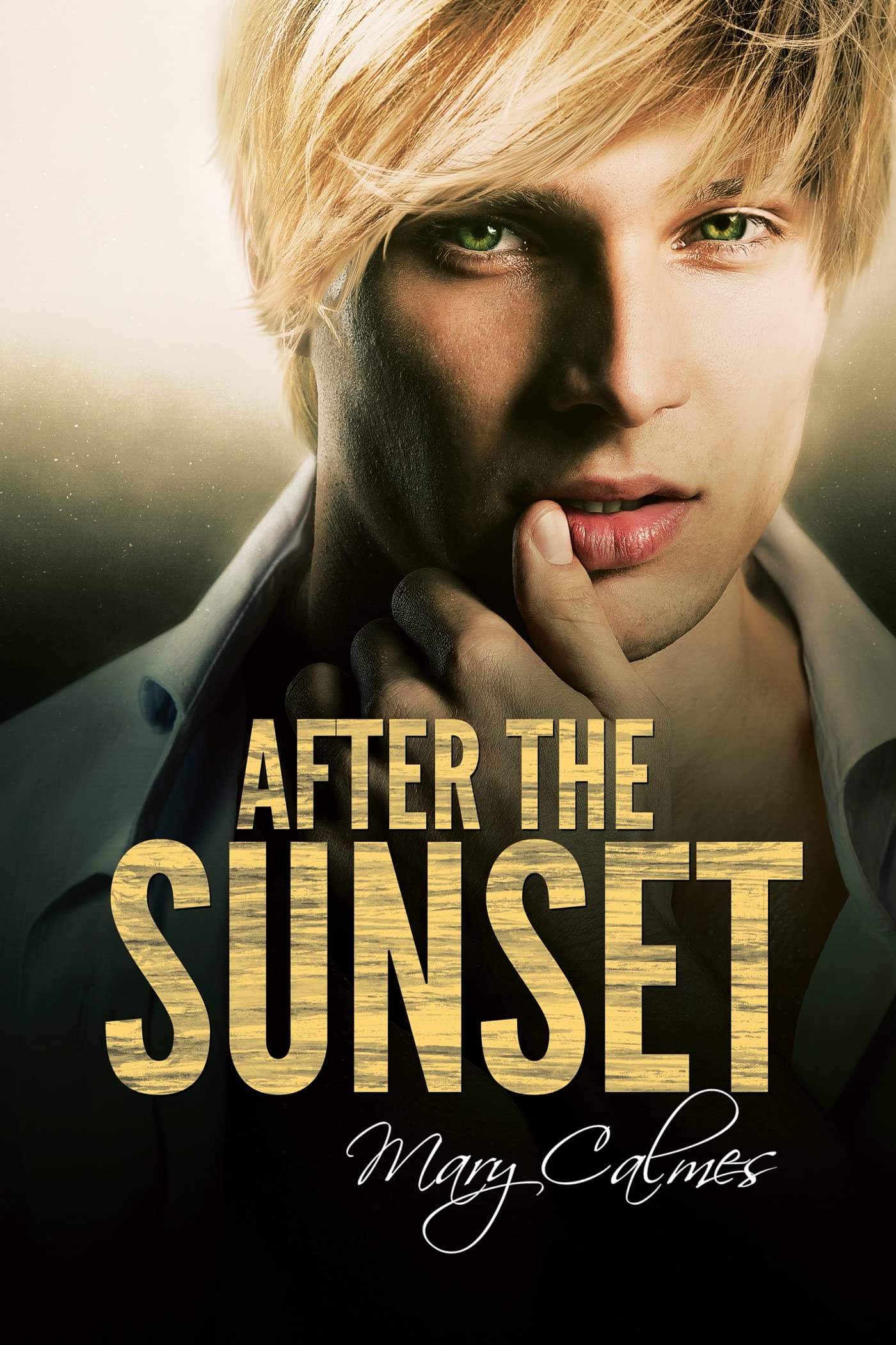 After the Sunset book cover