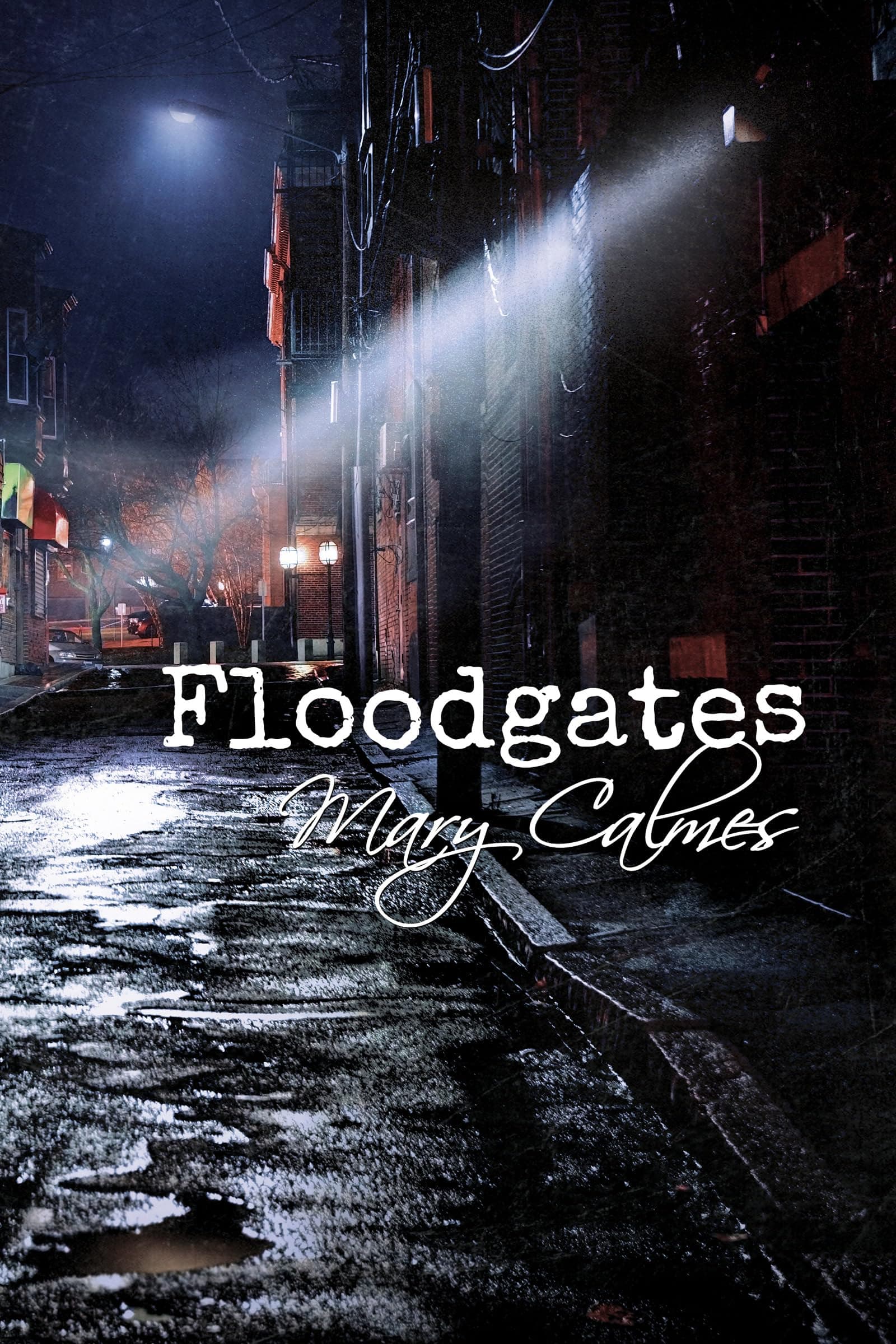 Floodgates book cover