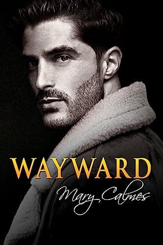 Wayward book cover