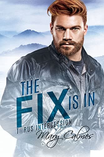 The Fix Is In book cover