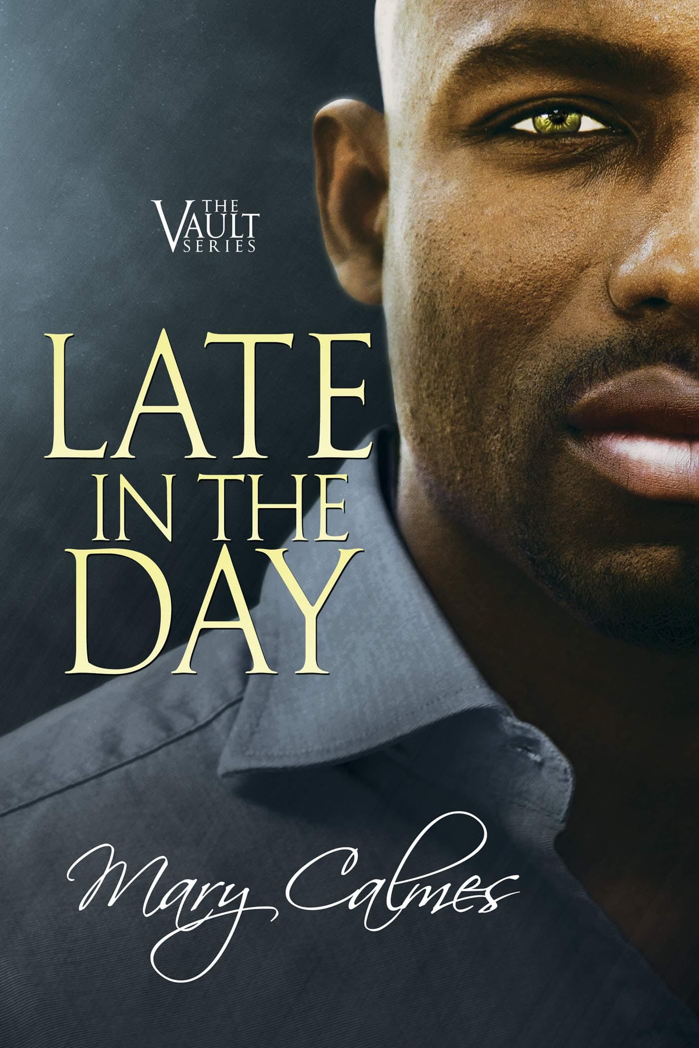 Late In The Day book cover