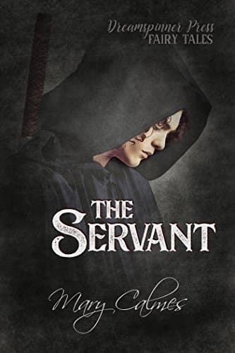 The Servant book cover