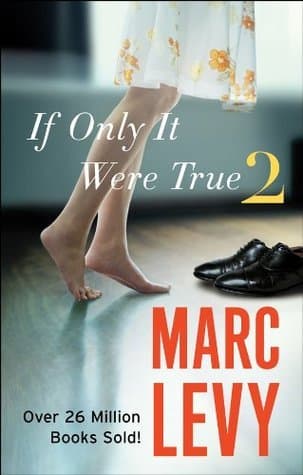 If Only It Were True 2 book cover