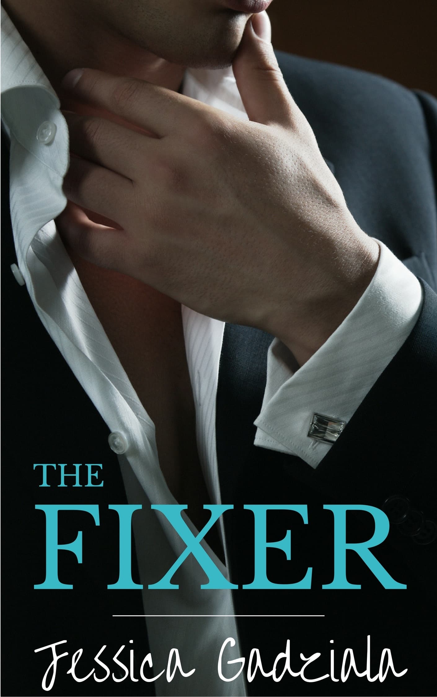 The Fixer book cover