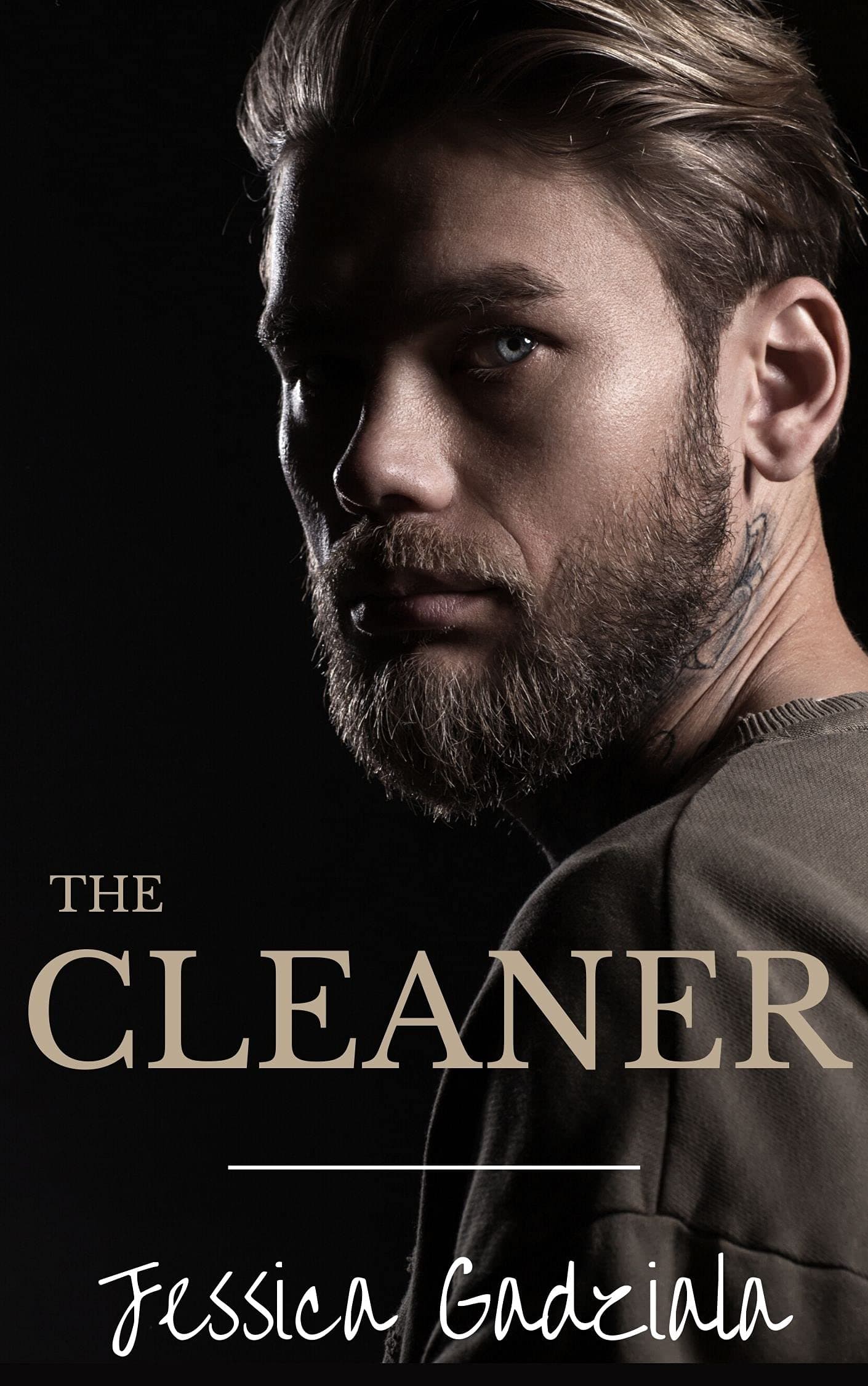 The Cleaner book cover