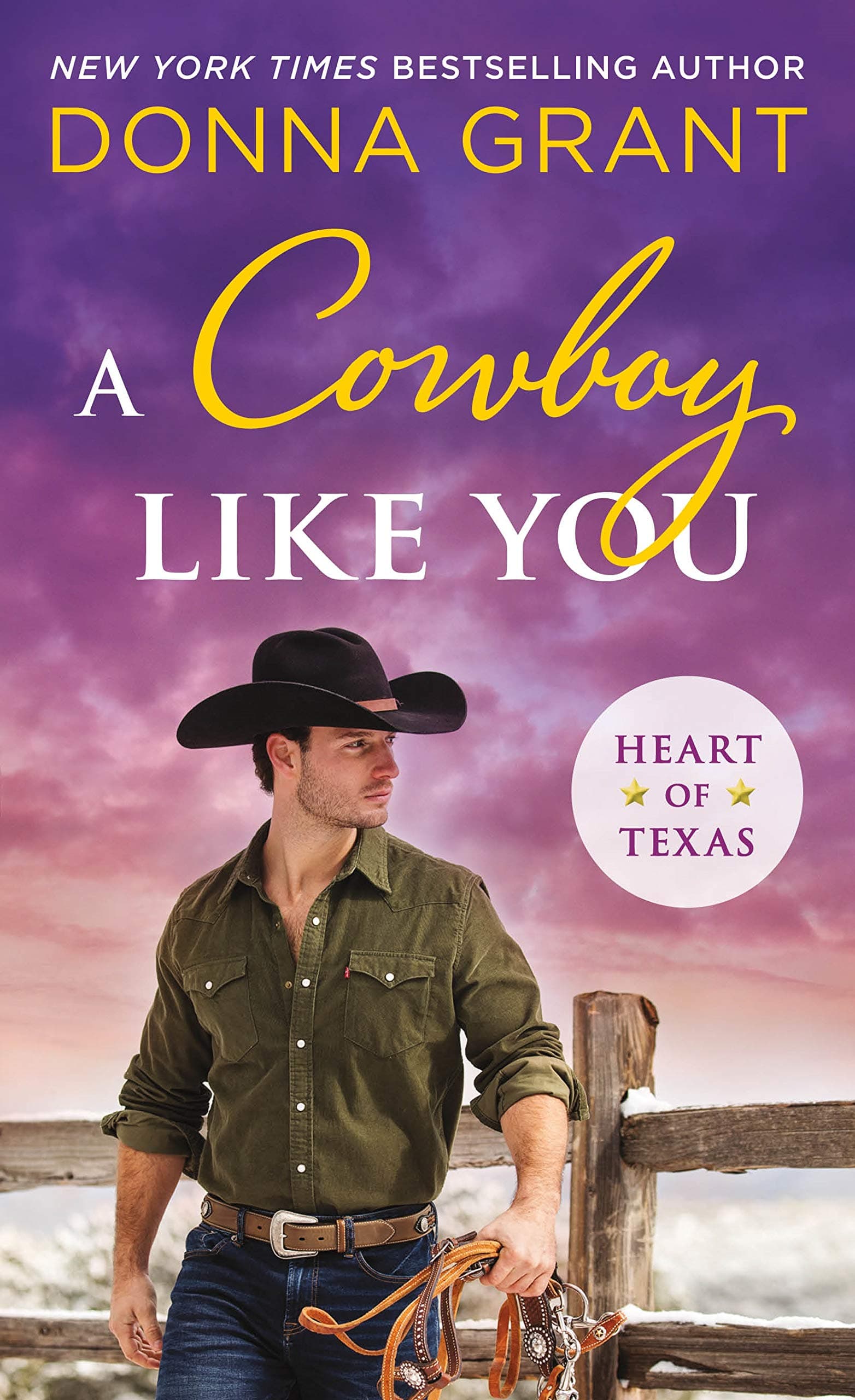 A Cowboy Like You book cover