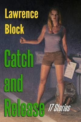 Catch and Release: 17 Stories book cover