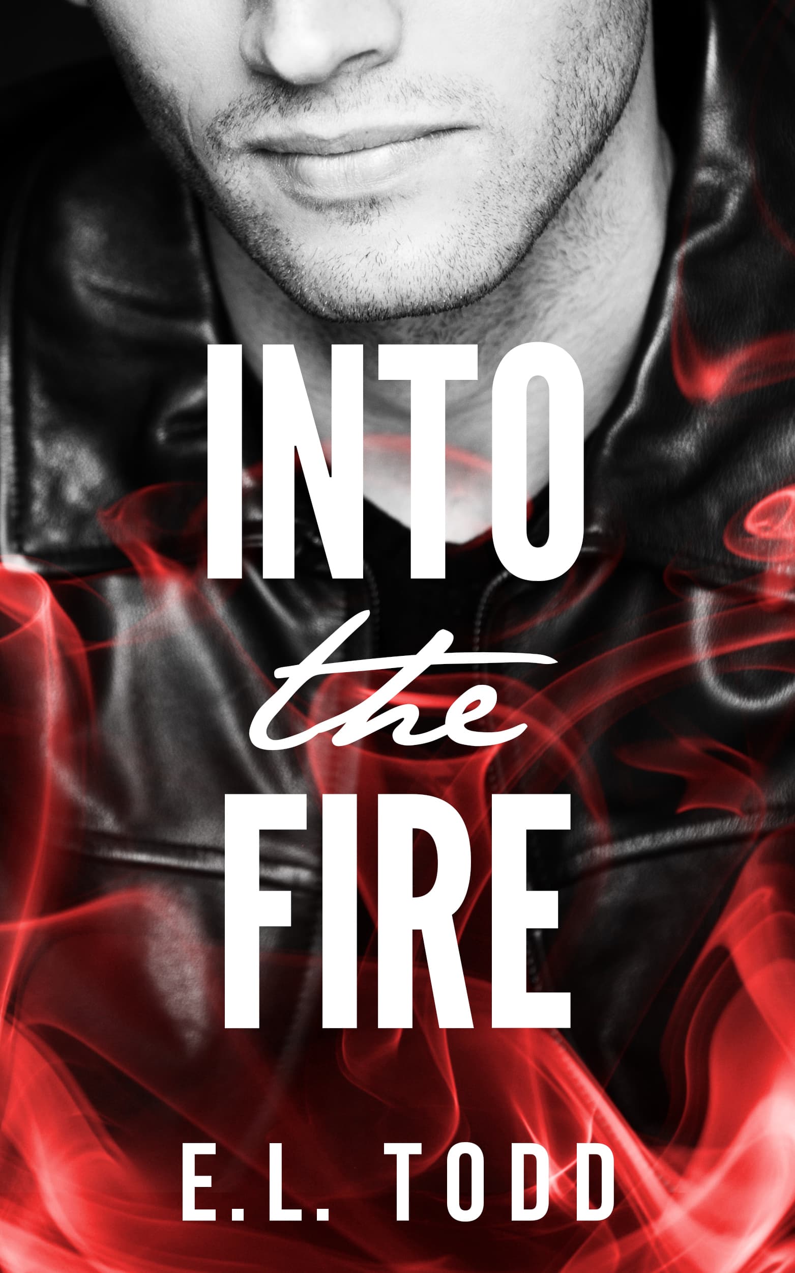 Into the Fire book cover