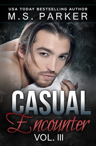 Casual Encounter Vol. 3 book cover