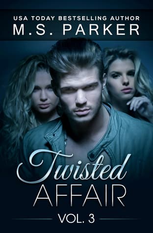 Twisted Affair Vol. 3 book cover