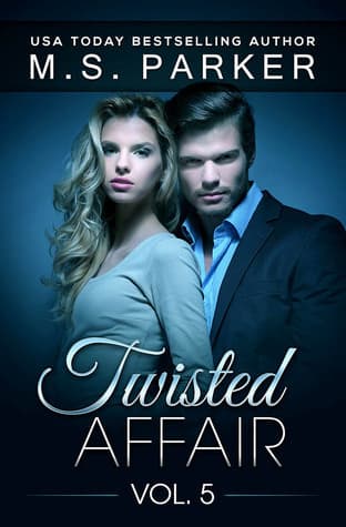 Twisted Affair Vol. 5 book cover