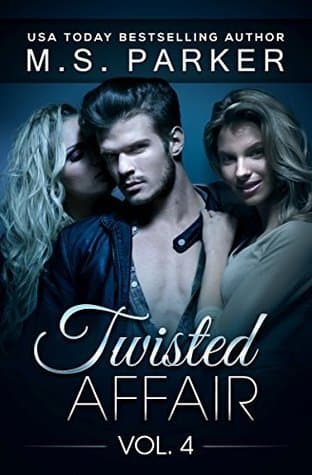 Twisted Affair Vol. 4 book cover