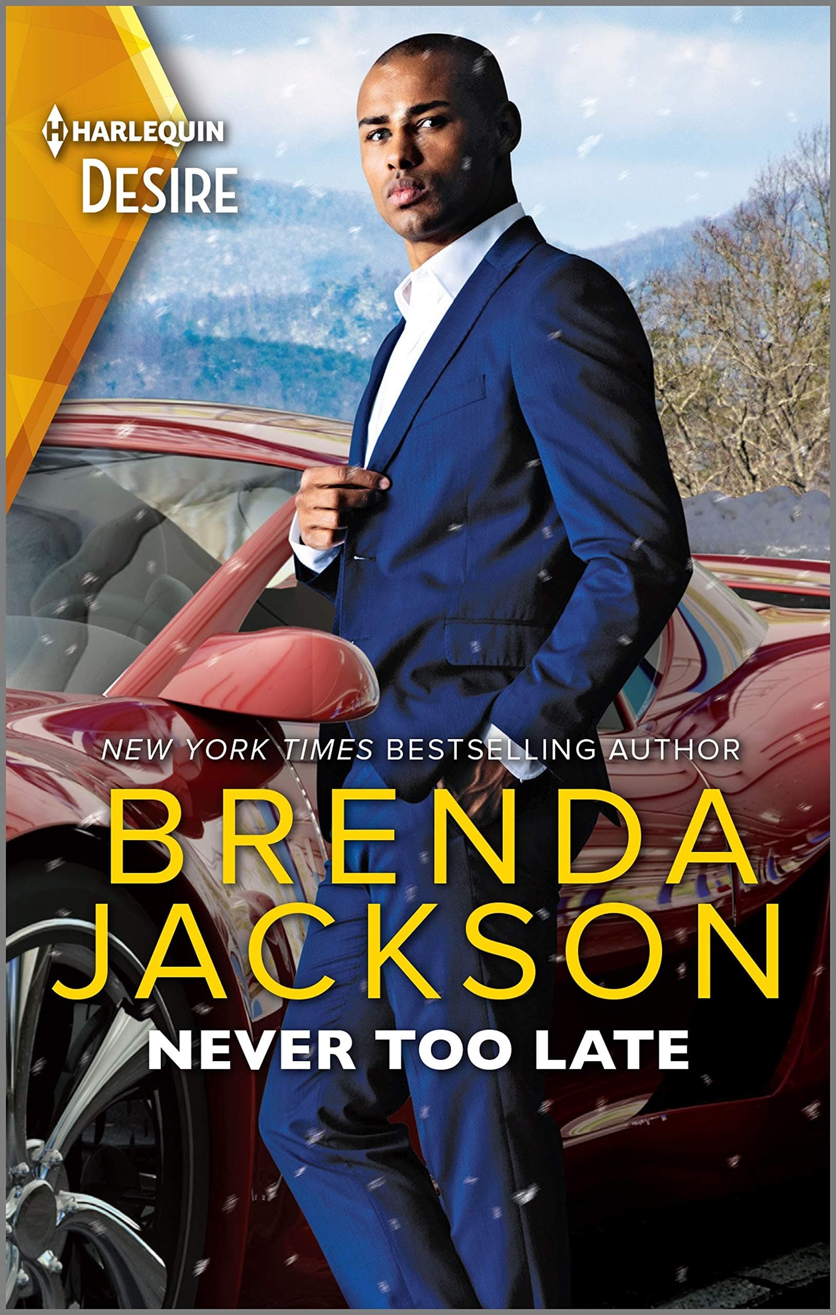 Never Too Late book cover