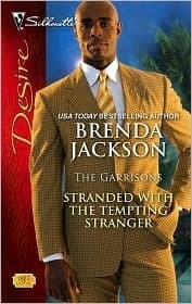 Stranded With The Tempting Stranger book cover