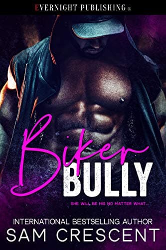 Biker Bully book cover