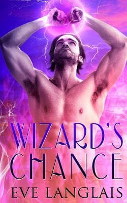 Wizard's Chance book cover