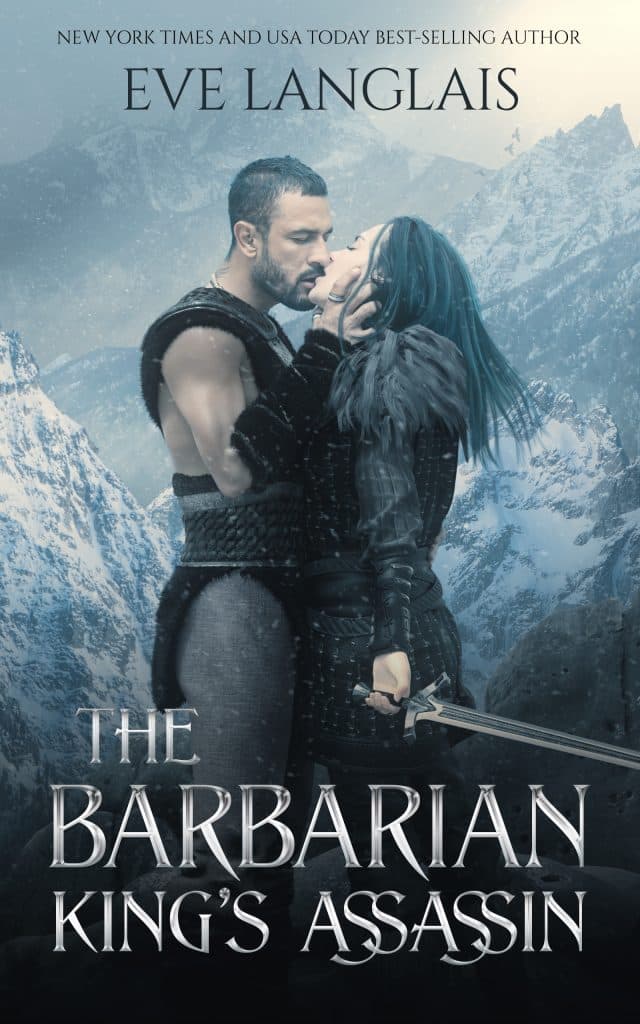 The Barbarian King's Assassin book cover