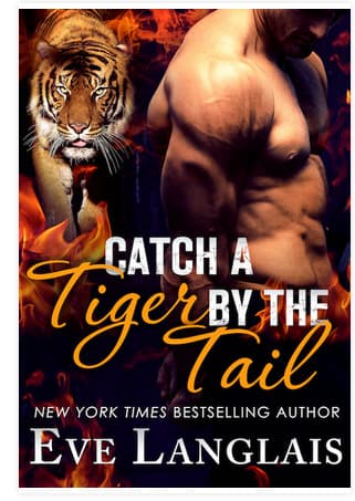 Catch a Tiger by the Tail book cover