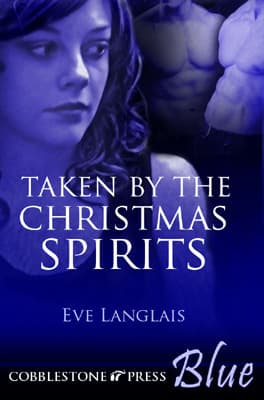 Taken by the Christmas Spirits book cover