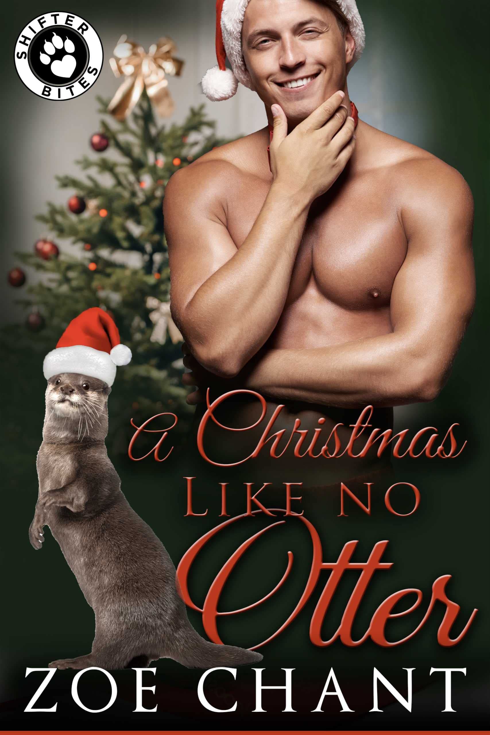 A Christmas Like No Otter book cover