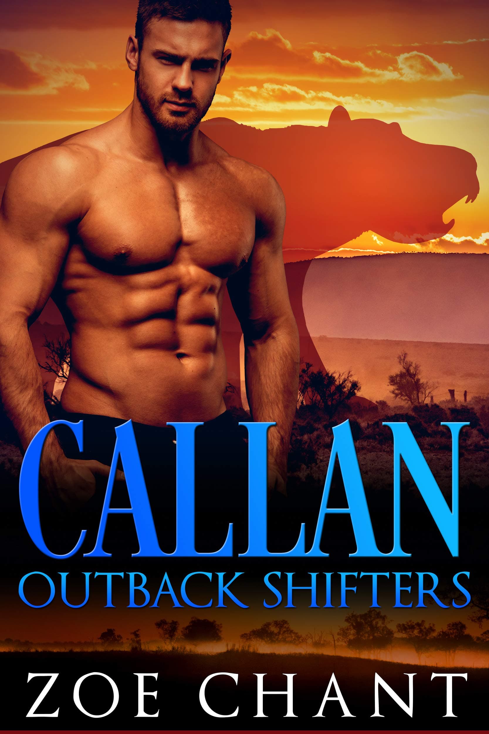 Callan book cover