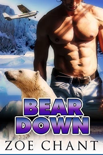 Bear Down book cover