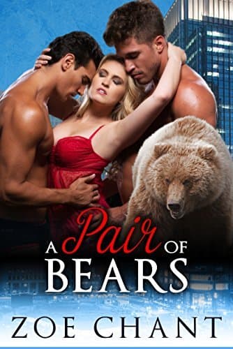 A Pair of Bears book cover