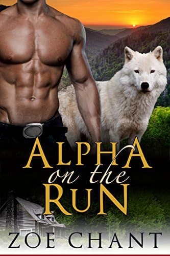 Alpha on the Run book cover