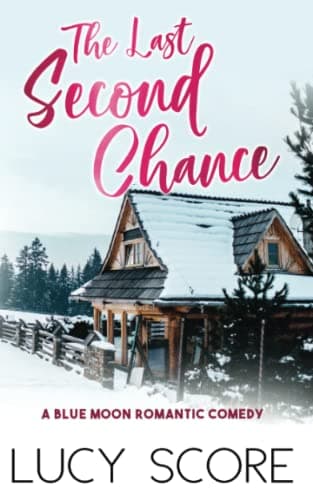 The Last Second Chance book cover