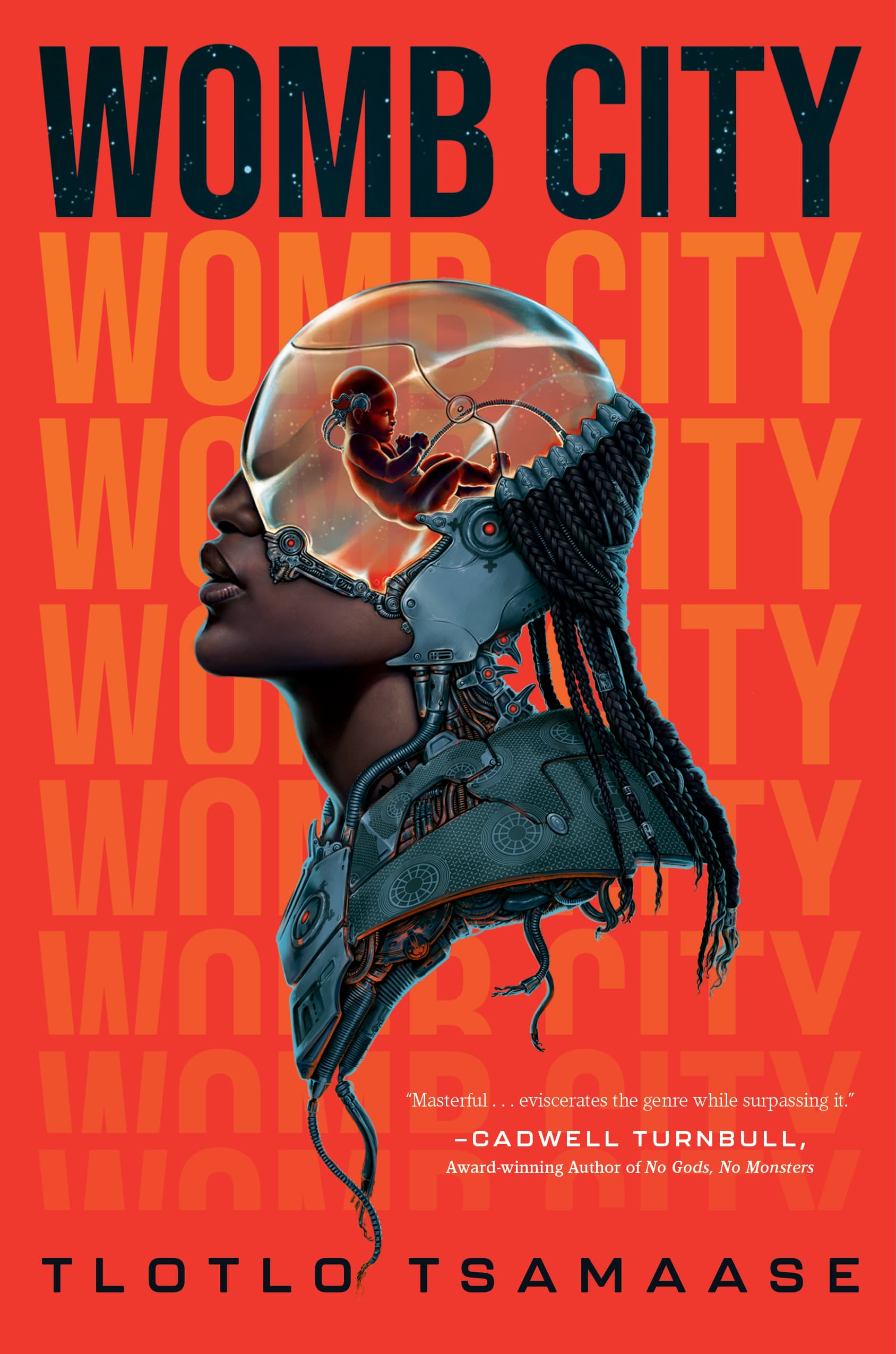 Womb City book cover