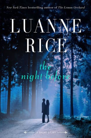 The Night Before book cover