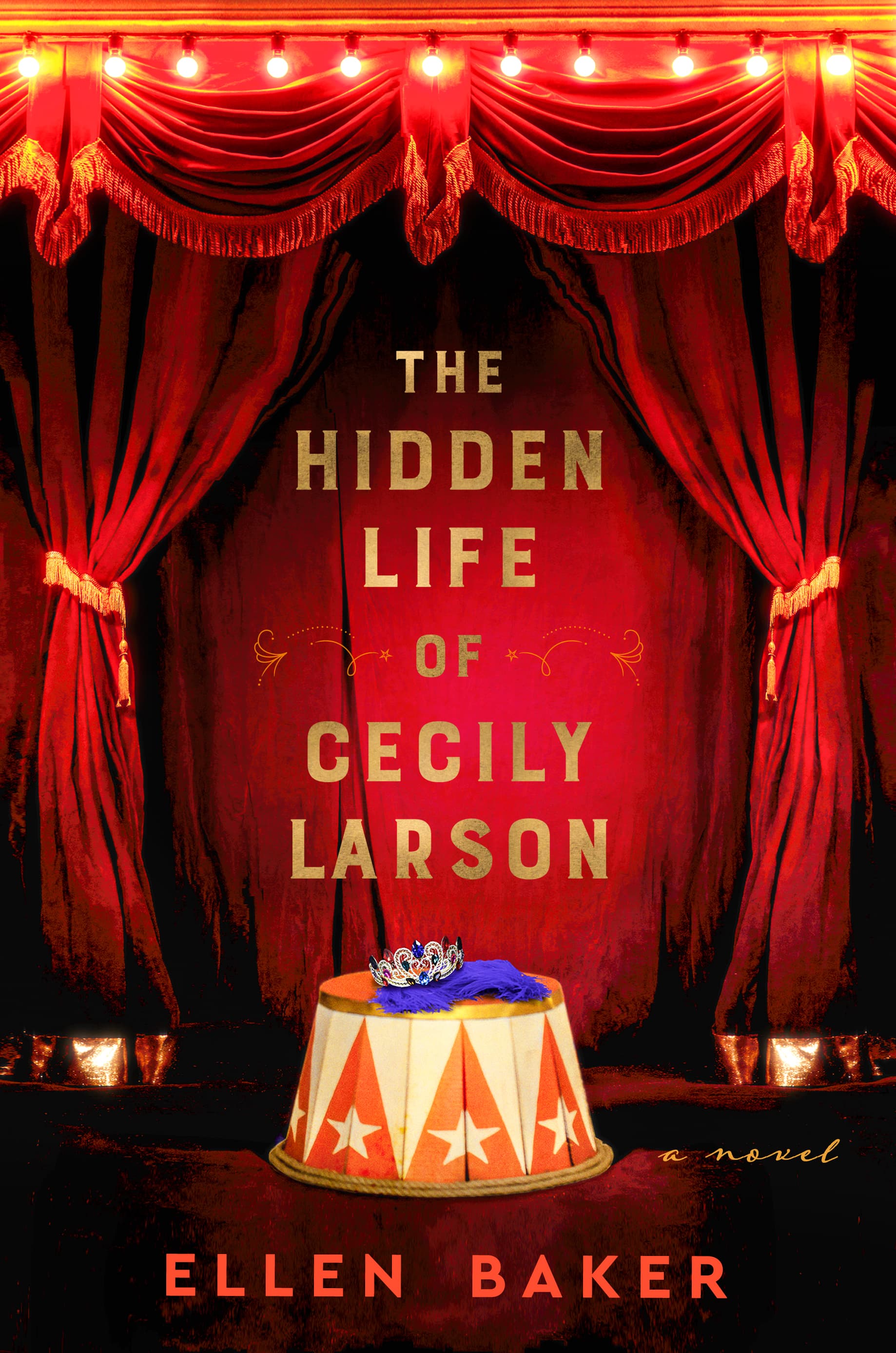 The Hidden Life of Cecily Larson book cover