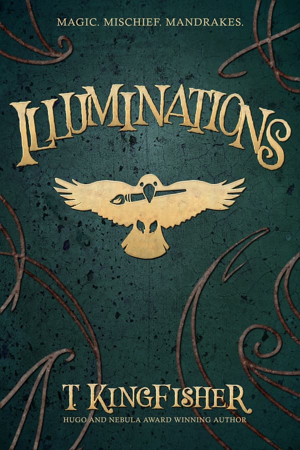 Illuminations book cover