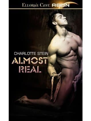 Almost Real book cover