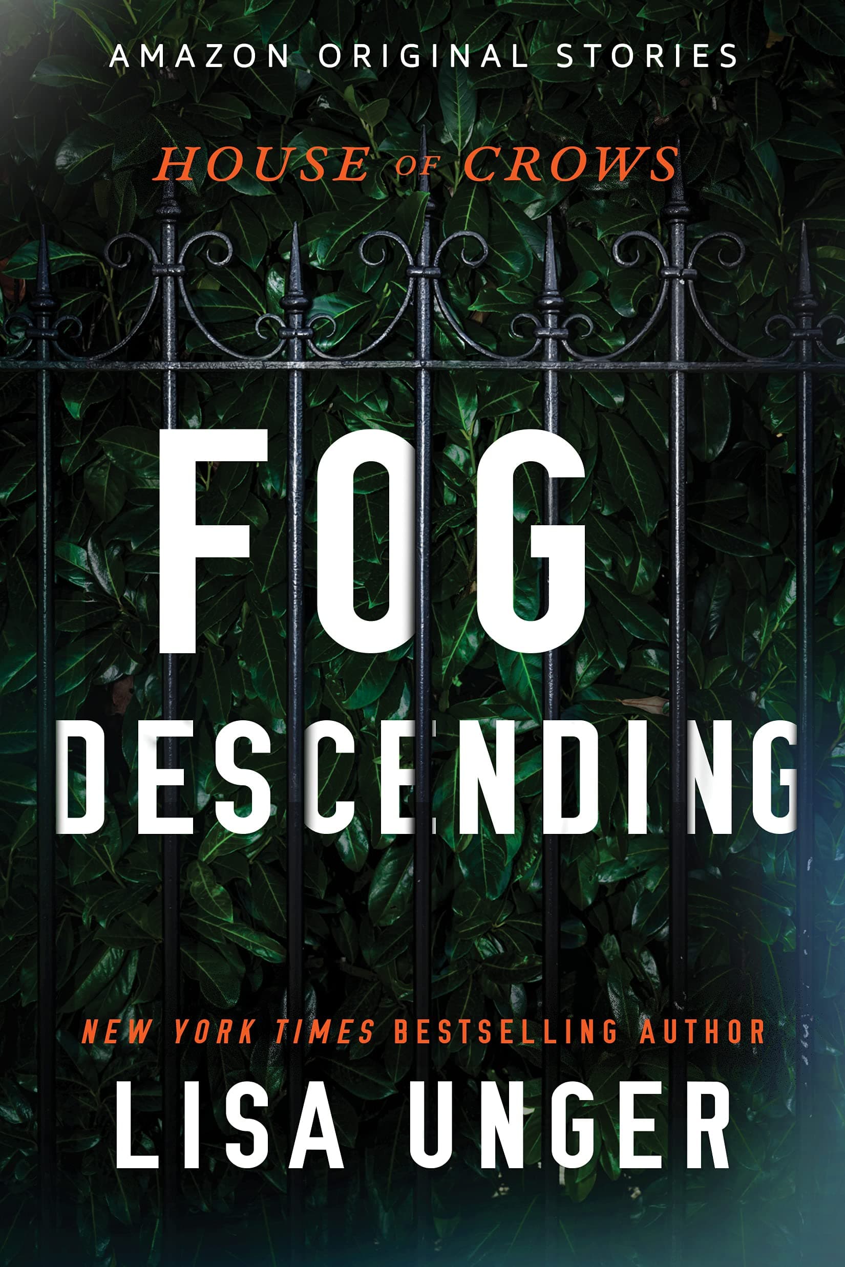 Fog Descending book cover